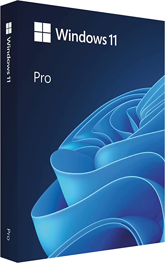 Microsoft Windows 11 Pro Professional
